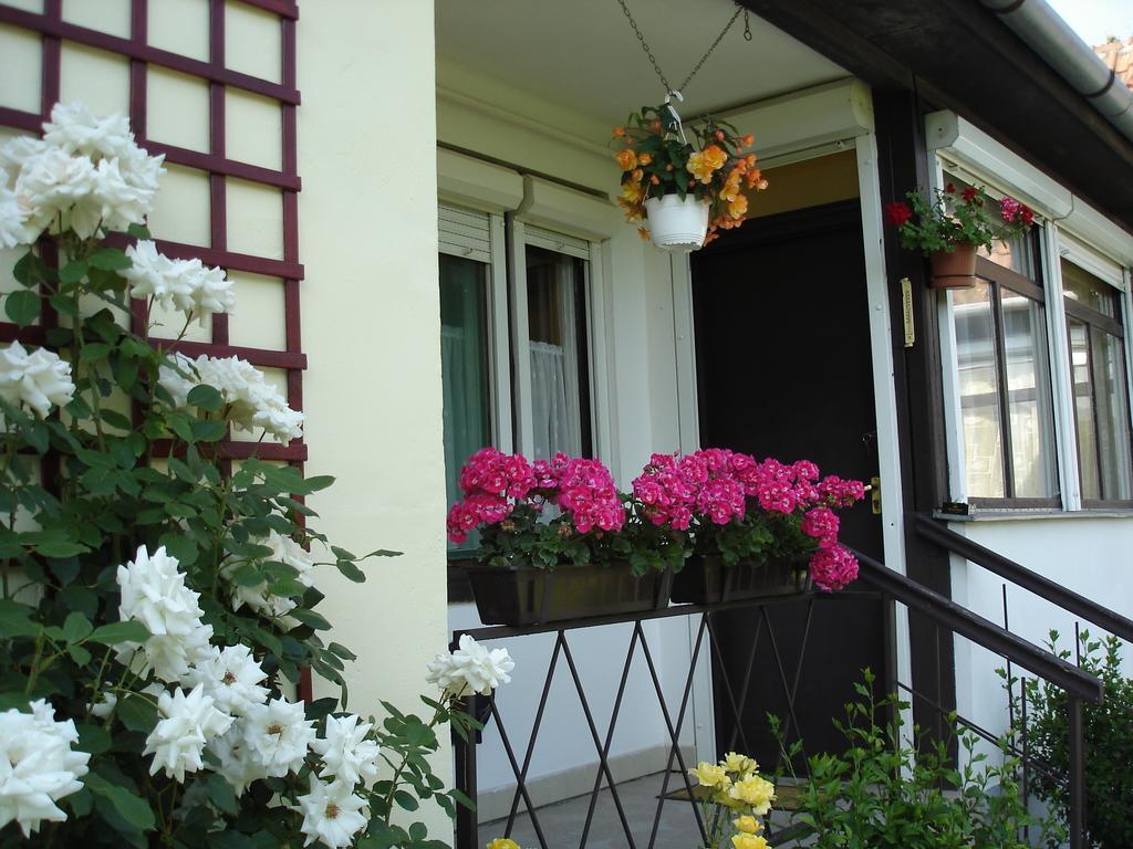 Liza Apartman Gyula Zimmer foto